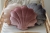 cosmic-pearl-moimili-shell-pillow (4).jpg