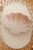 beige-pearl-shell-cushion-moimili (3).jpg