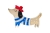 PUPPY-FRENCH-STYLE-scaled.jpg