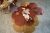 Bloommats_3ebf045e-029a-4634-b4c8-1550576b527c_720x.webp