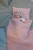 LinenbloomchildcoversetPowderpink_2_460x.webp
