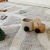 Ecocity-lorenacanals-C-ECOCITY-Rooms-for-Rascals-2_667x667.jpg