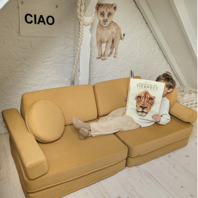 nulu 1.png