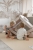 image00012.jpeg