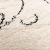 10338b0700ee60166061e5df9977dfb2