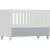 338-large_default.webp
