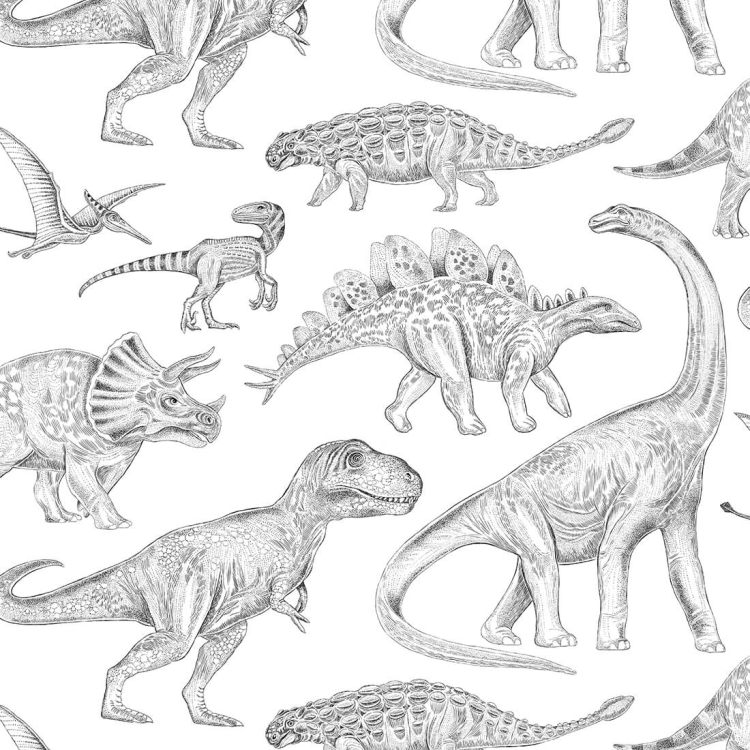 biała tapeta w dinozaury do pokoju chłopca pastelove love