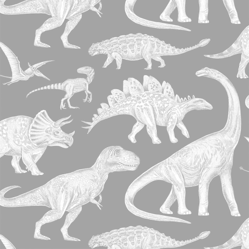 szara tapeta dla chłopca w dinozaury