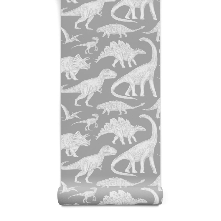 szara tapeta dla chłopca w dinozaury
