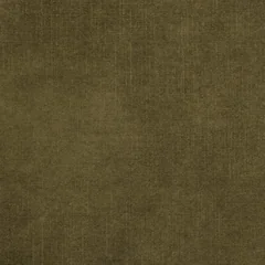 DUBAJ – OLIWKOWY